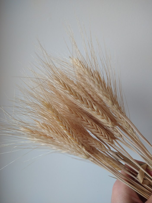 Pollenation Wheat Bouquet