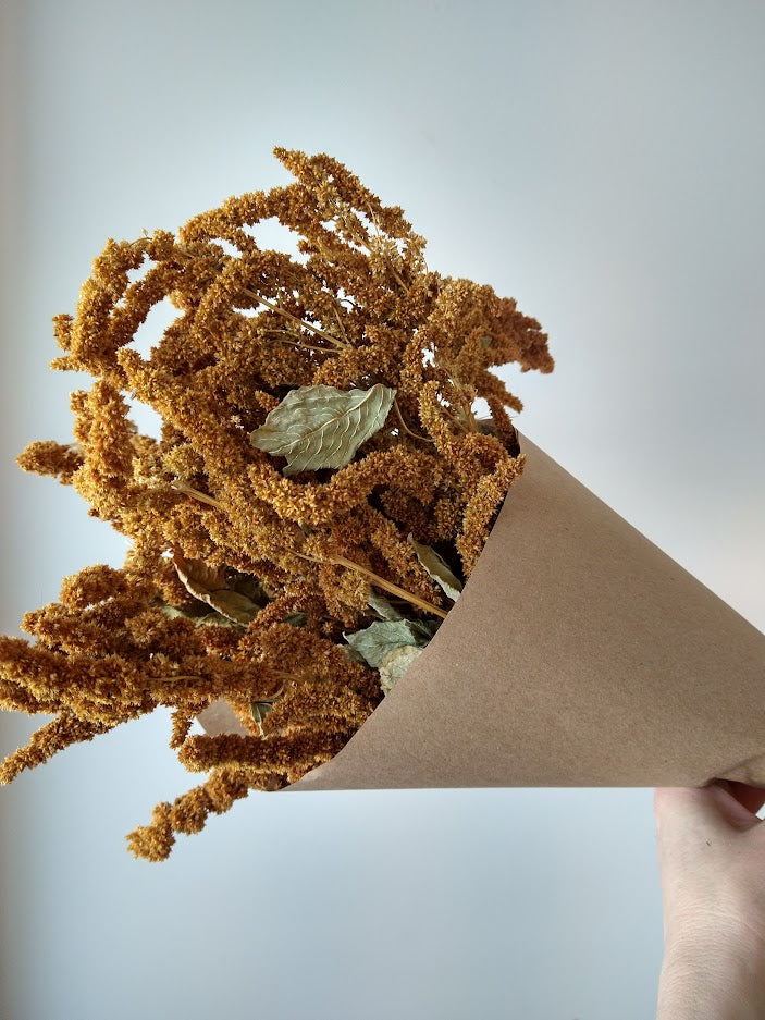 Pollenation 'Hot Biscuits' Amaranth Bouquet