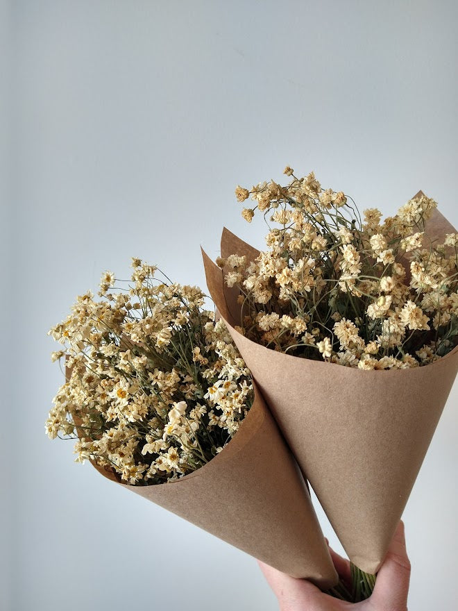 Pollenation Feverfew Bouquet